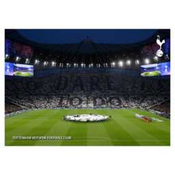 Tottenham Hotspur Print - To Dare Is Do Stadium Poster Wall Art - thumbnail 3