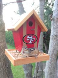 San Francisco 49Ers Bird Feeder