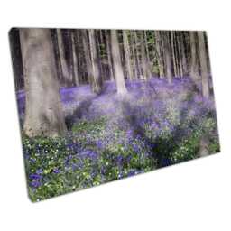 Enchanting Purple Bluebells Meadow Wall Art Print Floral Decor For Home, Office, Living Room