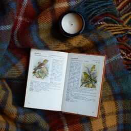 Pure Wool Tartan Blanket - Check Multicolour Tweedmill British Throw Antique Buchanan - thumbnail 2