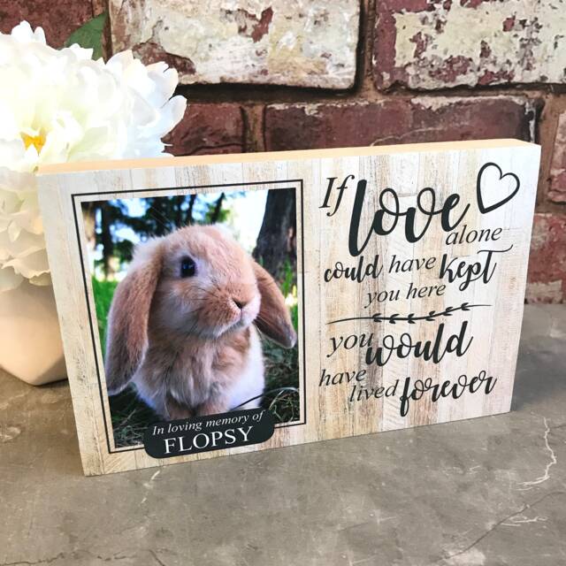 Rabbit Memorial Gift, Pet Frame, Gift, Plaque, Photo Remembrance Keepsake - image 1