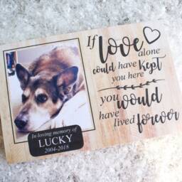 Rabbit Memorial Gift, Pet Frame, Gift, Plaque, Photo Remembrance Keepsake - thumbnail 4