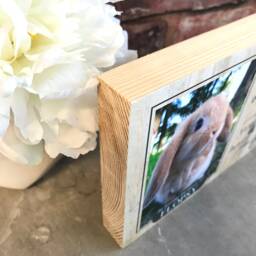 Rabbit Memorial Gift, Pet Frame, Gift, Plaque, Photo Remembrance Keepsake - thumbnail 2