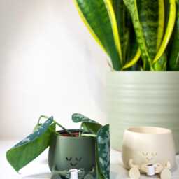 Happy Face Tea Planter Cute Plant Pot, Lover Gift, Mug Pot - Fun Modern Home Decor - thumbnail 2