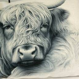 Highland Cow Canvas Cushion, 50cm X 30cm Farmhouse Cushion - thumbnail 2