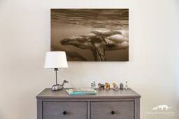 Humpback Whale Sepia Nursery Art Print Baby Animal Photo - thumbnail 1
