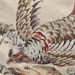 Vervain Pajaro Exotica Luxury Designer Fabric Vintage Bird Cushion Pillow Cover - thumbnail 3