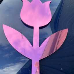 Tulip Flower Mirror Custom Acrylic Wall Decor - thumbnail 4