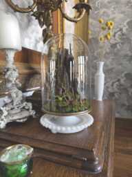 Handmade Forest Scene in Glass Cloche With Vintage Metal Base