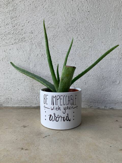 White Mantra Pot