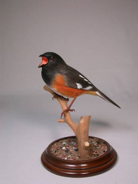 Eastern Towhee #2 Wooden Hand Carved Bird