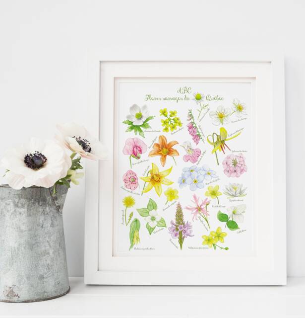 Quebec Wild Flowers Art Print/Abc Poster Flowers Spring Art - Fleurs Sauvages Du Qu??bec Affiche Fleurs - image 1