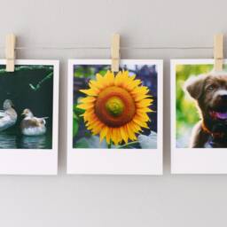 Clothespeg Photo Display, Picture Hanger, Wooden Clothespin Wall Decor - thumbnail 2