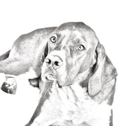 English Pointer - Wooden Stand For Candles/Pens With The Image Of A Dog New Collection - thumbnail 2