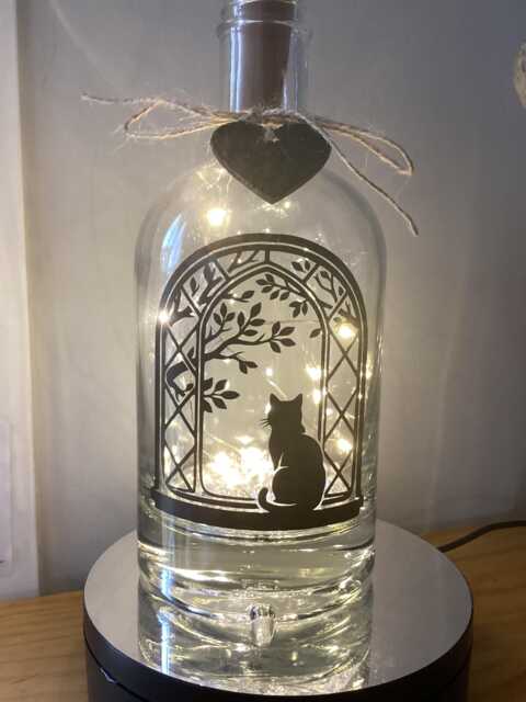 Personalised Cat Light Up Bottle, Bottle Lamp With Gift Messaging Service & Bag
