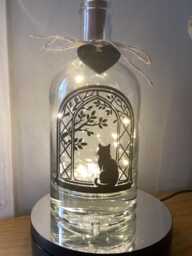 Personalised Cat Light Up Bottle, Bottle Lamp With Gift Messaging Service & Bag
