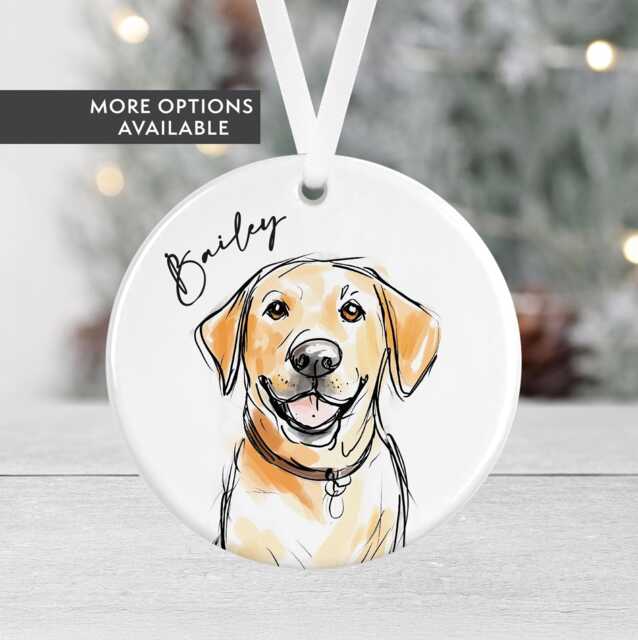 Personalised Dog Christmas Bauble - Labrador Gift Ceramic Pet Ornament Secret Santa Lover - image 1