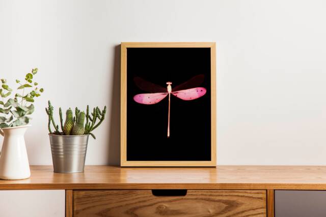 Pink Dragonfly Heavy Weight Poster, Modern Gothic Wall Art Print, Minimalist Nature Home Decor, Scandinavian Living Room, Taxidermy Photogram