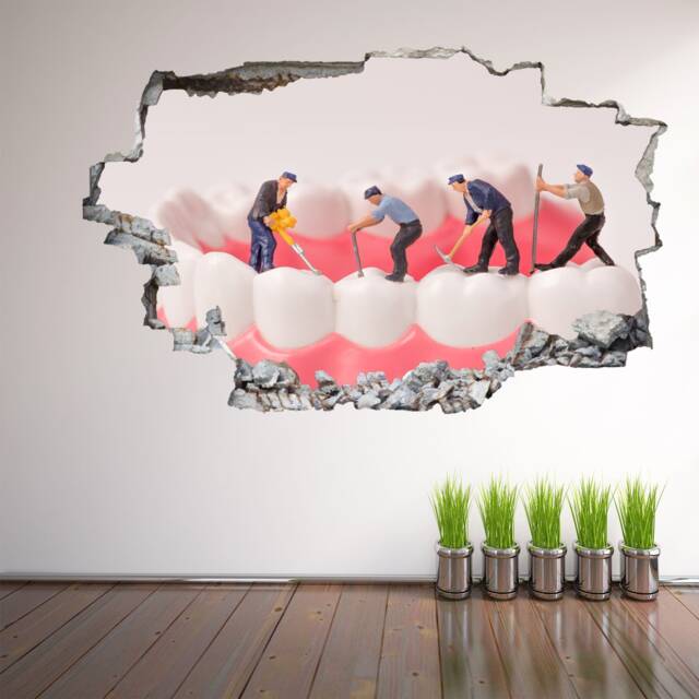 People Cleaning Teeth Wall Decal Sticker Mural Poster Print Art Dental Care Decor Ec61