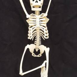 Tree Pose - Small - thumbnail 2