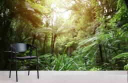 3D Forest Wallpaper Mural, Sunlight Scenery Wall Art, Peel & Stick - thumbnail 1