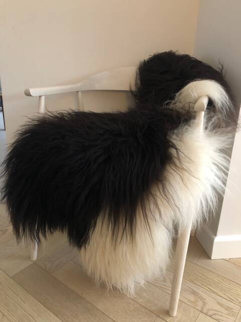 stunning Icelandic Sheepskin Rug Rare Spotted Natural Undyed Eco Certified Sheepskin, Scandinavian Home Decor, Luxury Throw, Chair Cover - image 1