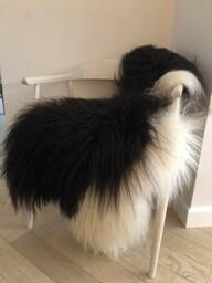 stunning Icelandic Sheepskin Rug Rare Spotted Natural Undyed Eco Certified Sheepskin, Scandinavian Home Decor, Luxury Throw, Chair Cover