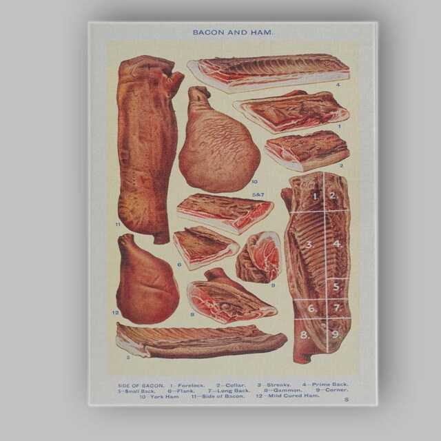 Vintage Bacon & Ham Butchery Chart Illustration Canvas Wall Art Print Decor Picture Ready To Hang - image 1