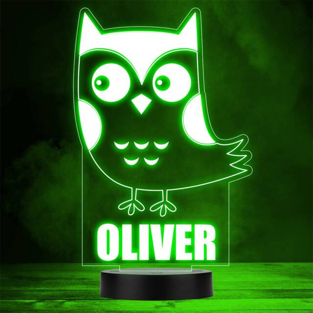 Cute Cartoon Owl Bird Animal Lover Led Personalised Gift Night Light - image 1