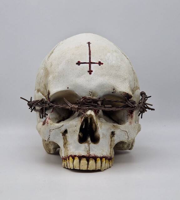 Unseen. Human Skull Replica . Realistic Plaster Of Paris Life Size Human Replica - image 1