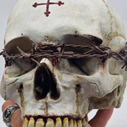 Unseen. Human Skull Replica . Realistic Plaster Of Paris Life Size Human Replica - thumbnail 4