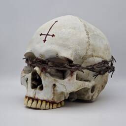 Unseen. Human Skull Replica . Realistic Plaster Of Paris Life Size Human Replica - thumbnail 3