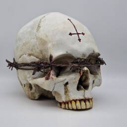 Unseen. Human Skull Replica . Realistic Plaster Of Paris Life Size Human Replica - thumbnail 2