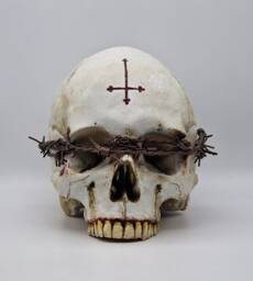 Unseen. Human Skull Replica . Realistic Plaster Of Paris Life Size Human Replica - thumbnail 1