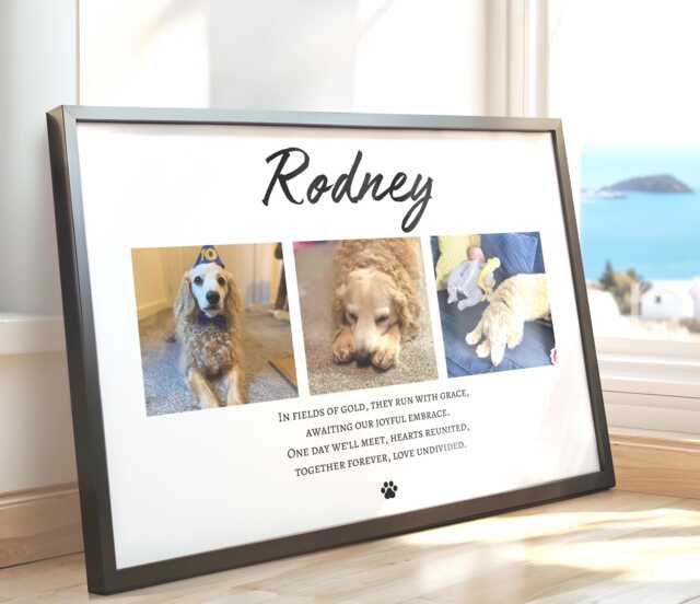 Personalised Dog Memorial Gift, Photo Collage Print For Loss Of Beloved Keepsake - image 1
