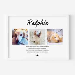 Personalised Dog Memorial Gift, Photo Collage Print For Loss Of Beloved Keepsake - thumbnail 3