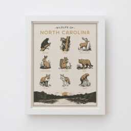 North Carolina Wildlife Wall Art Print - Vintage Animal Poster Design, Archival Quality Matte Fine Art Print. Outdoor, State Gift - thumbnail 2