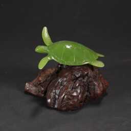 "Turtle ""Jade" - thumbnail 2