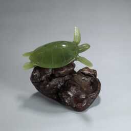 "Turtle ""Jade" - thumbnail 4