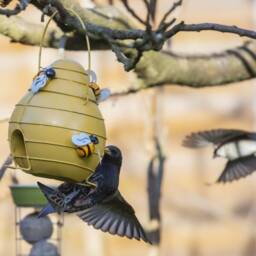 Metal Beehive Hanging Bird Feeder. Bee Lovers. Birds. Garden Accessory. Lovers Gift. Outdoor Feeder - thumbnail 2
