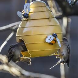 Metal Beehive Hanging Bird Feeder. Bee Lovers. Birds. Garden Accessory. Lovers Gift. Outdoor Feeder - thumbnail 3