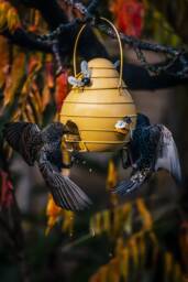 Metal Beehive Hanging Bird Feeder. Bee Lovers. Birds. Garden Accessory. Lovers Gift. Outdoor Feeder - thumbnail 1