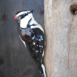 stoneware Downy Woodpecker - thumbnail 3