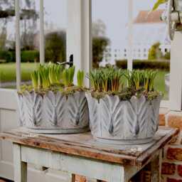 Leaf Metal Planter - thumbnail 2