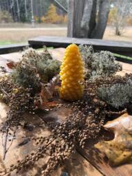 Pinecone Beeswax Candle Rustic Fall & Christmas Decor - thumbnail 1