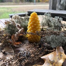 Pinecone Beeswax Candle Rustic Fall & Christmas Decor - thumbnail 4