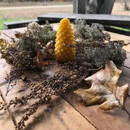 Pinecone Beeswax Candle Rustic Fall & Christmas Decor - thumbnail 2