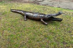 Large Recycled Metal Crocodile Garden Sculpture, Statue, Ornament, Decoration - thumbnail 1