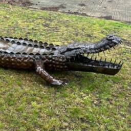 Large Recycled Metal Crocodile Garden Sculpture, Statue, Ornament, Decoration - thumbnail 2