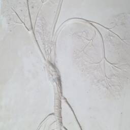 Tile Parsley Root Cast. Botanical Decorative Unique Plaster Wall Art Frame Wood Concrete Impression Pressed Flowers Eco Friendly - thumbnail 3